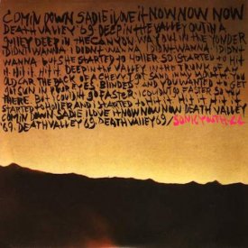 SONIC YOUTH & LYDIA LUNCH / Death Valley 69 (7 inch)