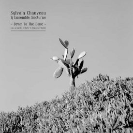 SYLVIAN CHAUVEAU & ENSEMBLE NOCTURNE / Down To The Bone (CD)