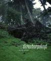 DIRECTORSOUND / I Hunt Alone (CD)