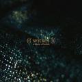 WITXES / A Fabric Of Beliefs (CD)