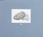 BRIAN LEBER / Till (CD)