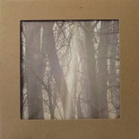 BENOIT PIOULARD / Benoit Pioulard - Live in museum (CD)