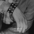 LUKE WYATT / Teen Hawk (LP)