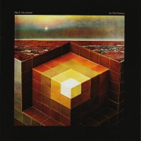 BLACK MOUNTAIN / In The Future (CD/2LP)