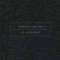 POSITIVE CENTRE / An Assembly (12 inch)