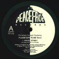 PLANETARY ASSAULT SYSTEMS / Planetary Funk Vol 2 (12 inch)