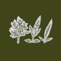 UENO TAKASHI / Variations Of Weeds (CD)