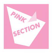PINK SECTION / Pink Section (LP+DL)