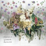 TSEMBLA / Terror & Healing (LP)