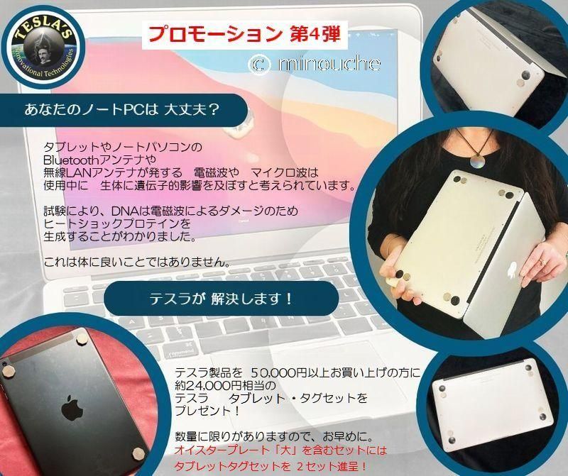 テスラ お得なセット - 元国際線CAのセレクトショップ・ミヌーシュ