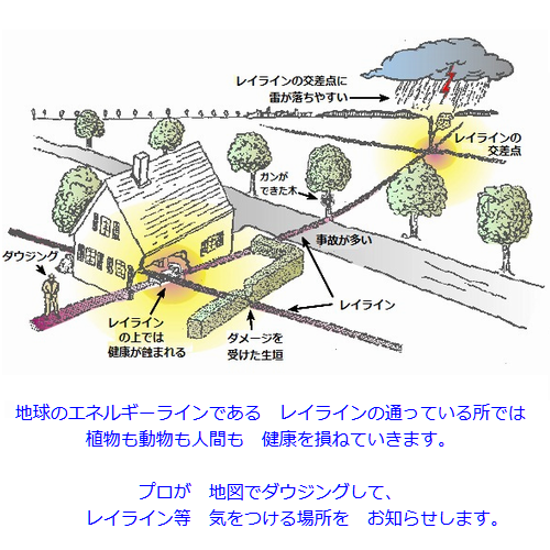 電磁波・化学物質・環境汚染に テスラ - 元国際線CAのセレクトショップ