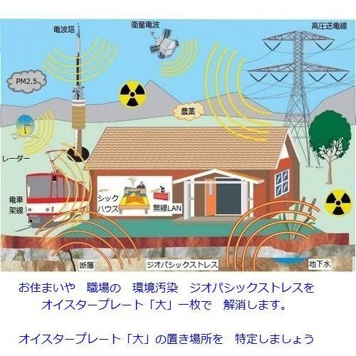 テスラオイスタープレート 家一軒丸ごと環境汚染対策　ジオパシック ダウジングサービス