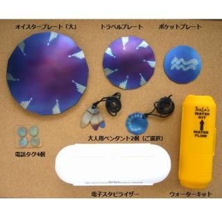 お見舞い テスラ オイスター プレート 小 その他¥25,212-xn---3 ...