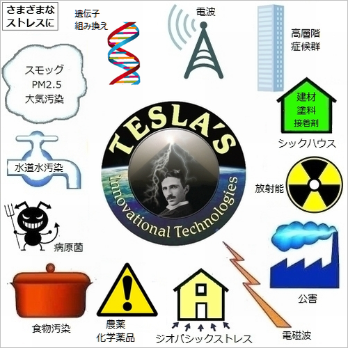 クリアランス本物 ミヌーシュ テスラプレート 雑貨