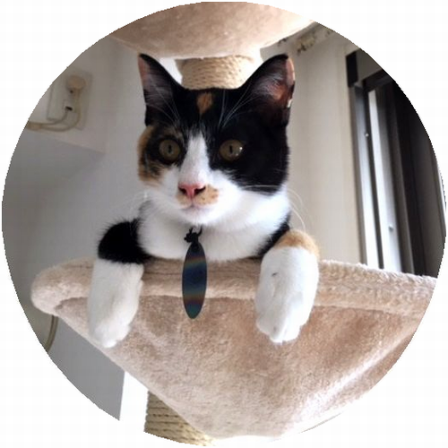 テスラ ソウルペンダント ブルー系 売上超特価 inspektorat.madiunkota