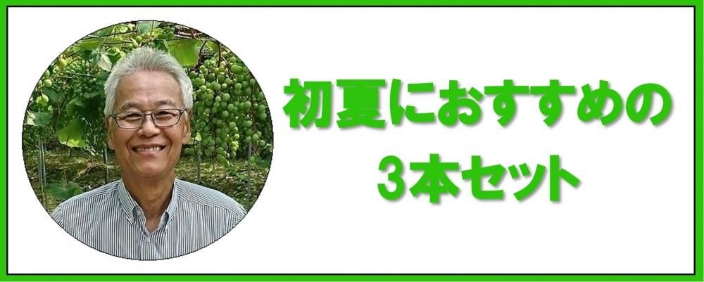 社長の夏におすすめ3本セット カタシモワイナリー 社長の夏におすすめ3本セット カタシモワイナリー