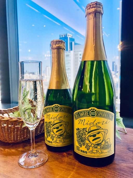 スパークリングワインMidori 375ml - カタシモワイナリー