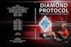 󡦥٥The Diamond Protocol §DVD e-book°