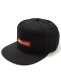 <img class='new_mark_img1' src='https://img.shop-pro.jp/img/new/icons8.gif' style='border:none;display:inline;margin:0px;padding:0px;width:auto;' />[DOUBLE STEAL] BOX LOGO CAP