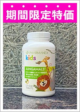 ָòեޥͥå kids 󥬥ޥ륺 塼֥