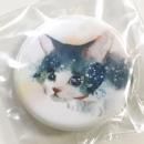 ̥ХåF:chocalo