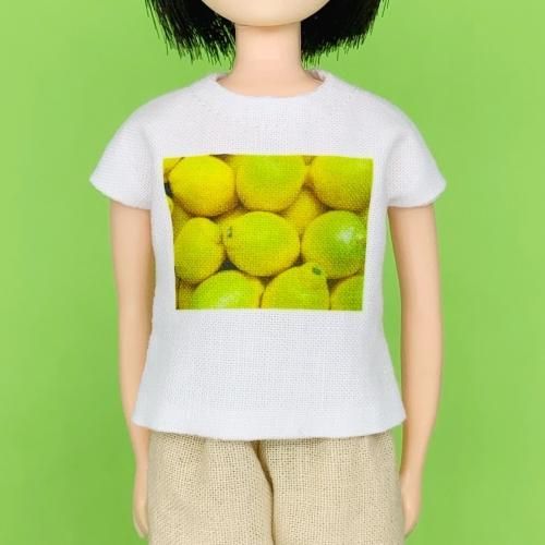 22-27cm 1/6 ץȼ̿Tġ֥A  cosmic cheese cake