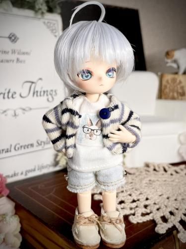 検:カスタムブライス　ob11 BJD SD オビツ11ドール　 リカちゃん