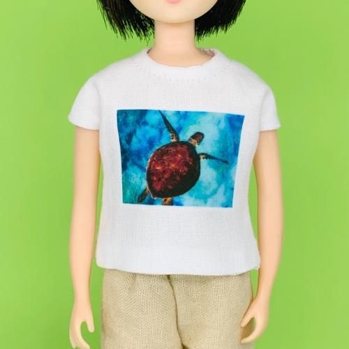 22-27cm 1/6 ̿Tġ֥ߥ  cosmic cheese cake
