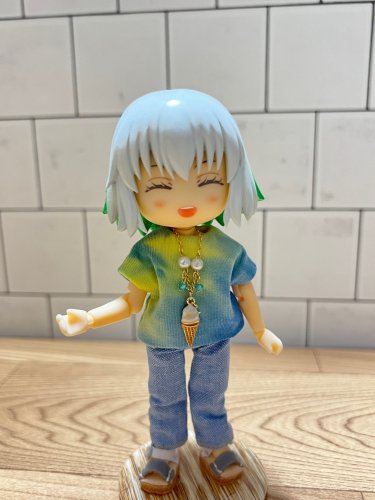 委託オビツ11・ねんどろいどどーるサイズ - ブライス・プーリップ