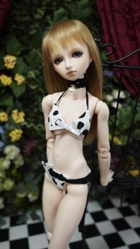 1/3 ᥷ӥkako
