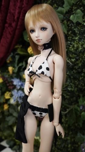 1/3 ᥷ӥ˹kako