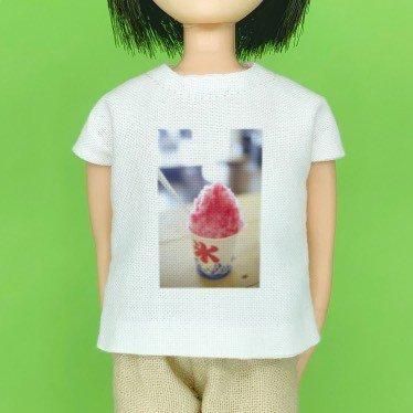22-27cm 1/6 ̿Tġ֤ɹ cosmic cheese cake