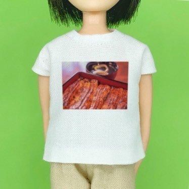 22-27cm 1/6 ̿Tġ֤ʽš cosmic cheese cake