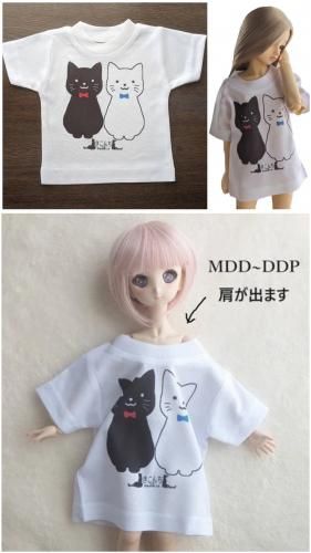 DDSDۥꥸʥץȥӥåԡǭǭ L/R