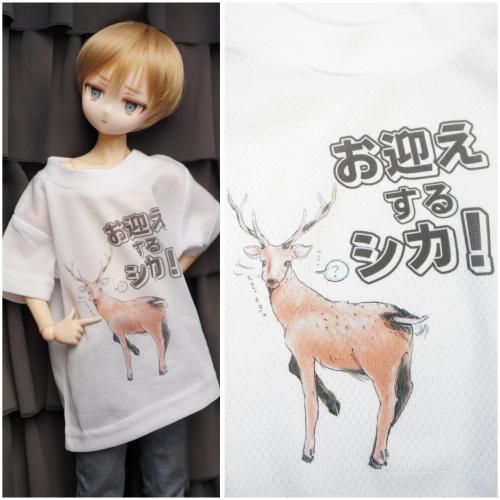 <img class='new_mark_img1' src='https://img.shop-pro.jp/img/new/icons5.gif' style='border:none;display:inline;margin:0px;padding:0px;width:auto;' />1/3 ޤ륷T  ߤ