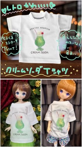 <img class='new_mark_img1' src='https://img.shop-pro.jp/img/new/icons5.gif' style='border:none;display:inline;margin:0px;padding:0px;width:auto;' />ڼ1/3 ꡼ॽT  ߤ
