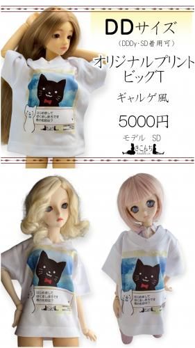<img class='new_mark_img1' src='https://img.shop-pro.jp/img/new/icons5.gif' style='border:none;display:inline;margin:0px;padding:0px;width:auto;' />DDSDۥꥸʥץȥӥå 륲 L/R