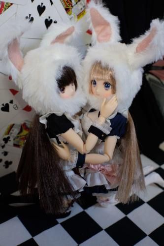 <img class='new_mark_img1' src='https://img.shop-pro.jp/img/new/icons5.gif' style='border:none;display:inline;margin:0px;padding:0px;width:auto;' />11/15()1/6ɡ񤴻ɽڡ