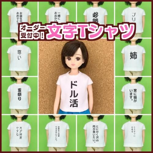 <img class='new_mark_img1' src='https://img.shop-pro.jp/img/new/icons5.gif' style='border:none;display:inline;margin:0px;padding:0px;width:auto;' />ڼ۹ʸդǤ롣1/6ʸT cosmic cheese cake