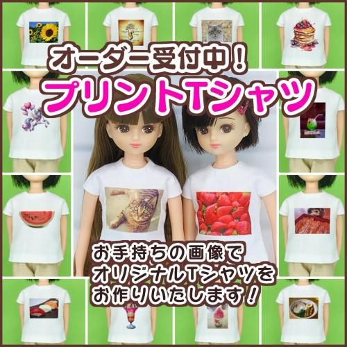 <img class='new_mark_img1' src='https://img.shop-pro.jp/img/new/icons5.gif' style='border:none;display:inline;margin:0px;padding:0px;width:auto;' />ڼ۹ʼ̿TĤǤ롣1/622~27cmɡѥץȼ̿T cosmic cheese cake