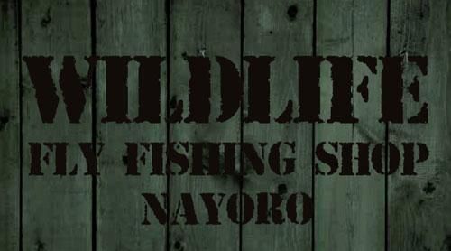 WILDLIFE FLYFISHING SHOP NAYORO【ワイルドライフ】 北海道 フライフィッシングガイドサービス＆フィッシングギアショップ。SIMMS,SCOTT正規販売店