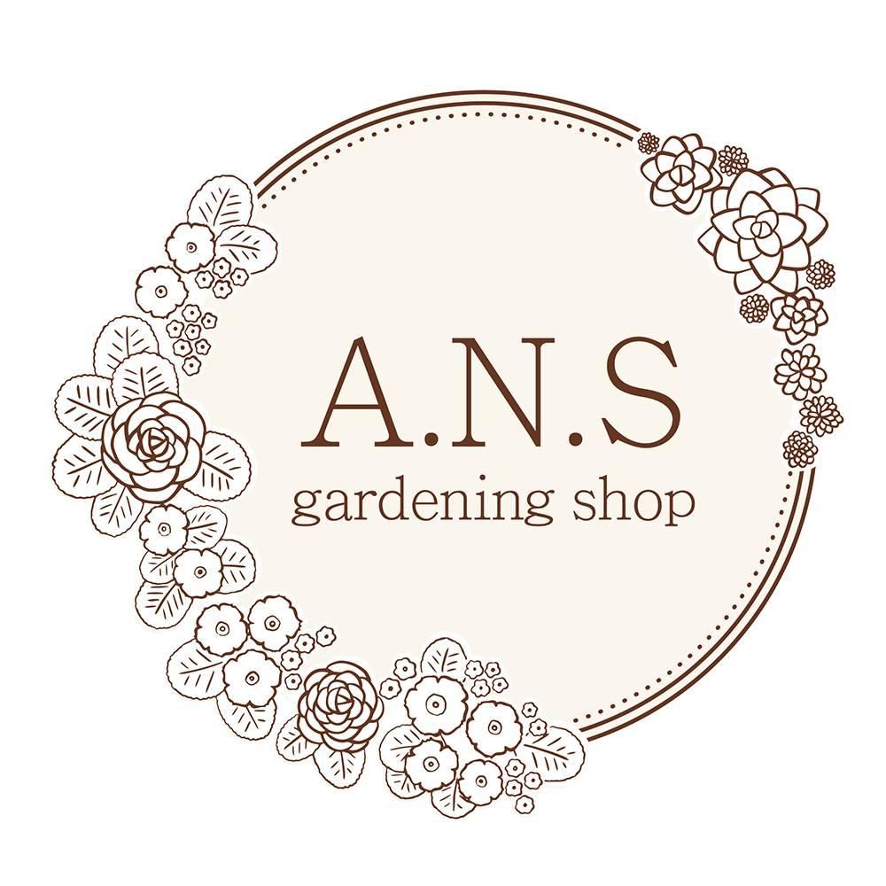 多肉植物やガーデニング用品・アンティークの通販サイト | A.N.S