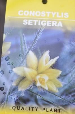 Υƥꥹƥ顡硼åĥݡ