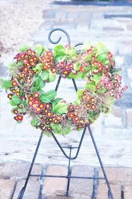 ץ顡ӥȥꥢʡ ϡȥ꡼