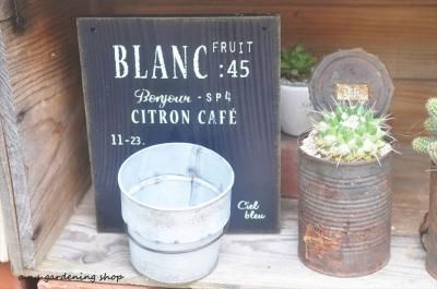 󥷥ȥ󥫥եåɥݥå