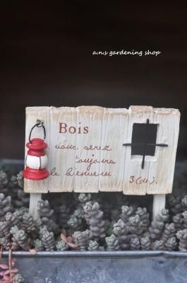 ܥ󥿥󥦥åɥե󥹥ԥå