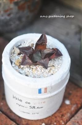 �ϥ��������3