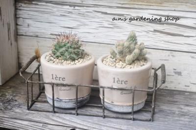 Ӥ磻䡼ŤӤݥåȤ˥ܥƥ󤻿No.2