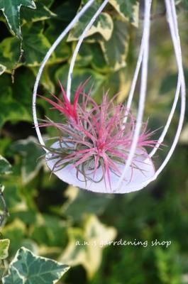 ʥ󥿡ե¿ƬȻߤΥå