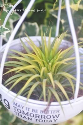 ʥ󥿡եɥ륤ɡȻߤΥå